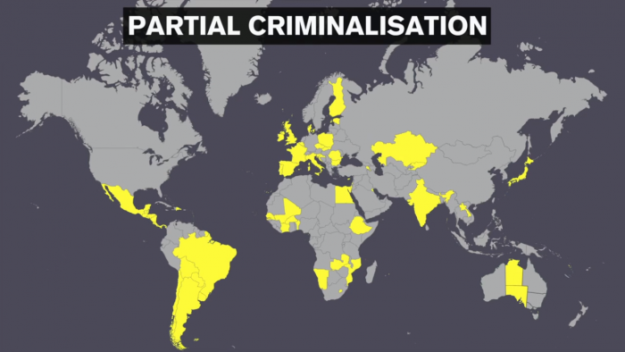 Partial Criminalisation